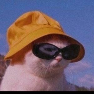 Meet your Posher, Valerie francesca